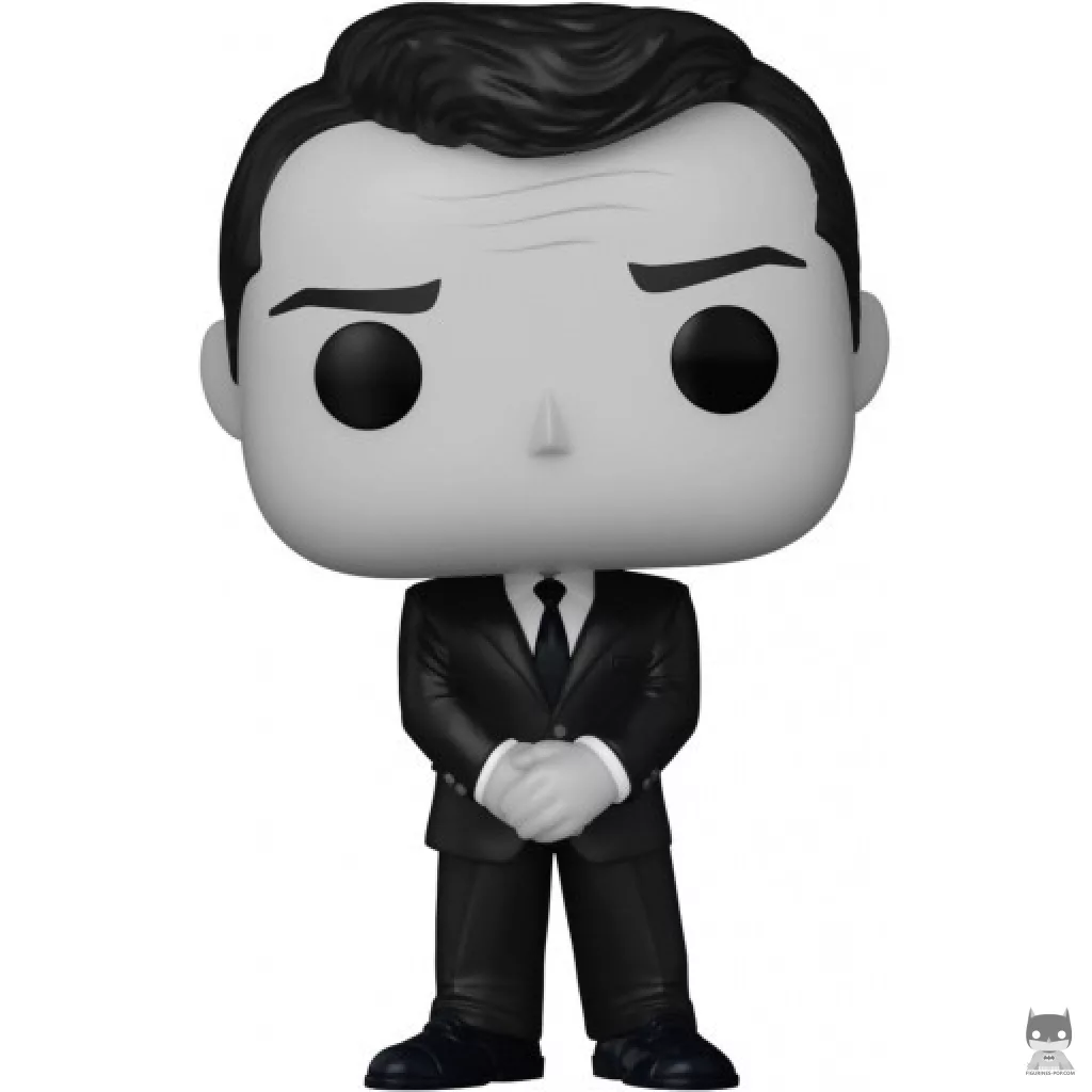 Figura Funko Pop! El Narrador (Dimensión desconocida)