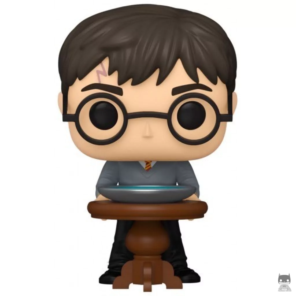 Figura Funko Pop! Harry Potter con el pensadero (Harry Potter)