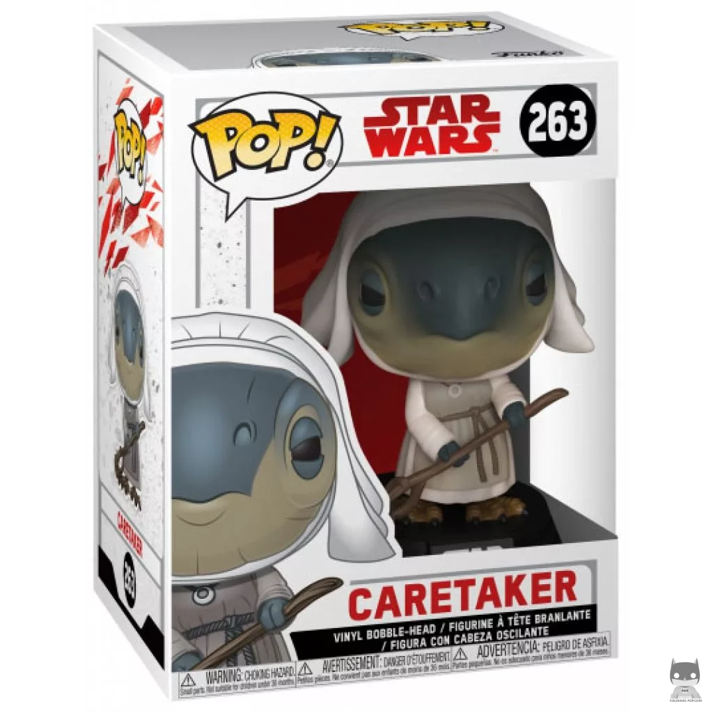 Figura Funko Pop! Cuidadora en su caja