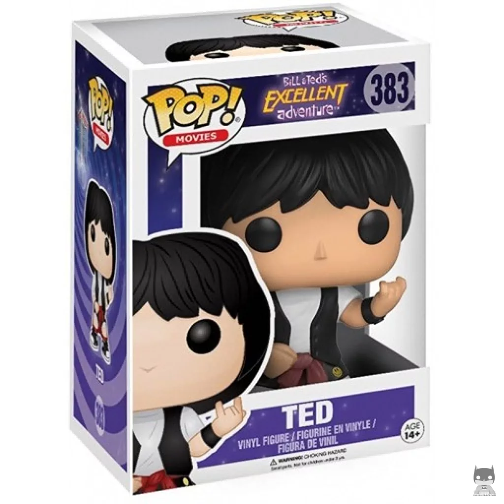 Figura Funko Pop! Theodore "Ted" Logan en su caja