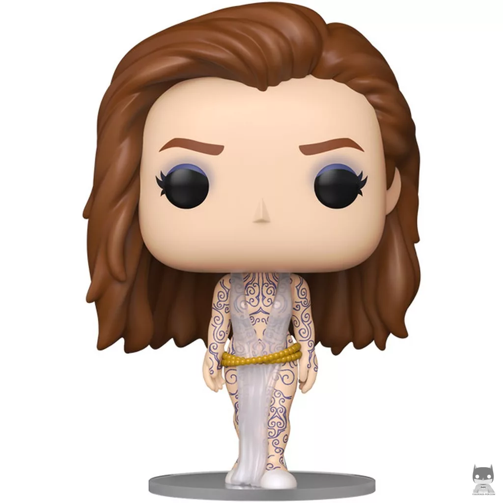 Figura Funko Pop! Feyre bajo la Montaña (Una corte de rosas y espinas)
