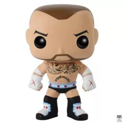 CM Punk