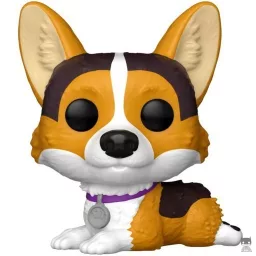 Corgi
