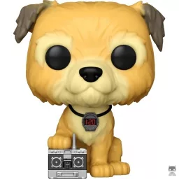Einstein