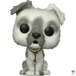 Perro