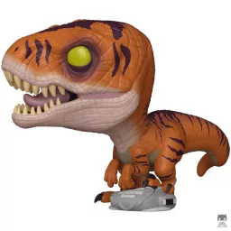 Raptor tigre