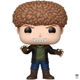 Scut Farkus