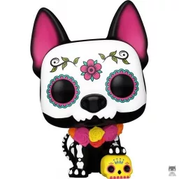 Xolo